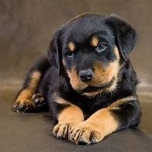 Meet your Posher, Jeana